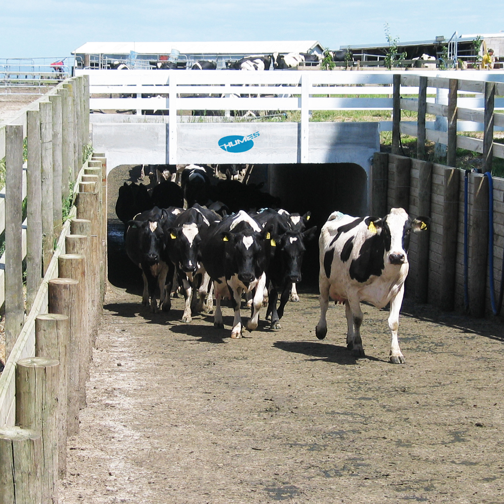 Humes Concrete Precast Rural Underpass for dairy cows