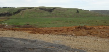 The Changing Face of Limestone Downs