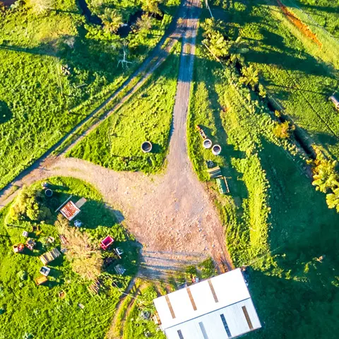 Oasis Clearwater Solution Header Image