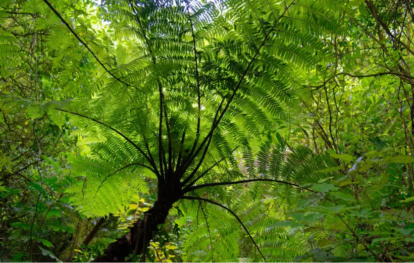 Humes Sustainability why it matters