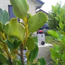 Humes Oasis Z54 Flout Concrete