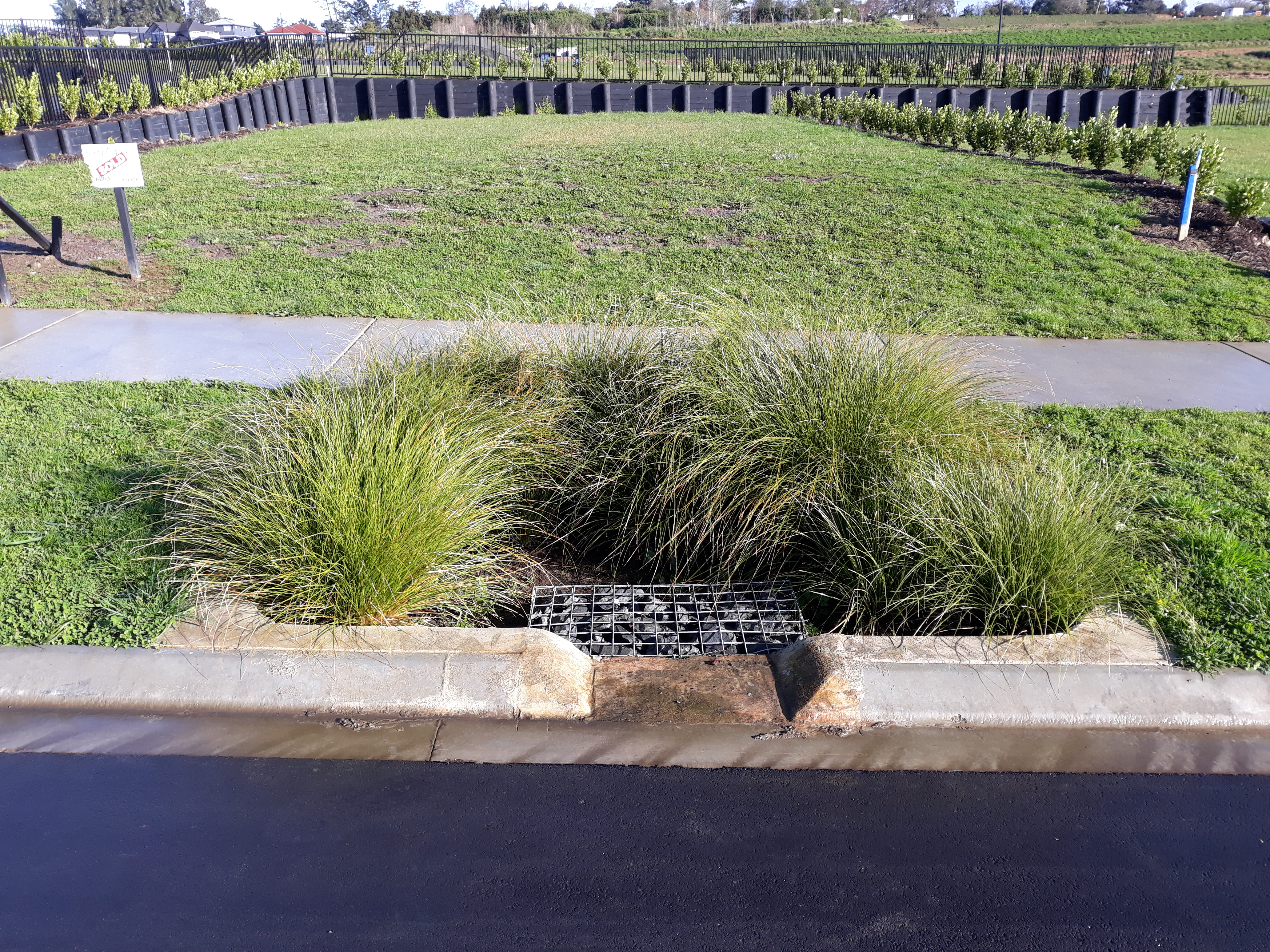 Humes rain garden surrounds installed in Kumeu